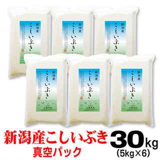 新米 令和6年産 新潟産 こしいぶき  米 【 真空 パック 】