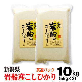 米 令和6年産 岩船産 コシヒカリ  米 【 真空 パック 】