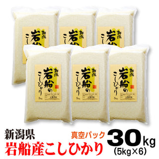 米 令和6年産 岩船産 コシヒカリ  米 【 真空 パック 】