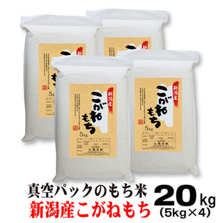 もち米 令和5年産 新潟産 こがねもち  米 【 真空 パック 】