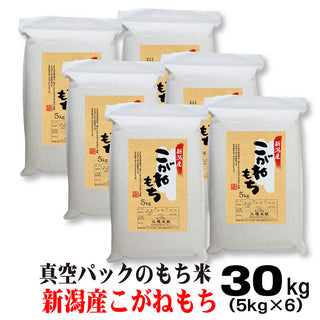 もち米 令和5年産 新潟産 こがねもち  米 【 真空 パック 】