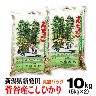 新米 令和6年産 新潟県新発田菅谷産 コシヒカリ  米 【 真空 パック 】