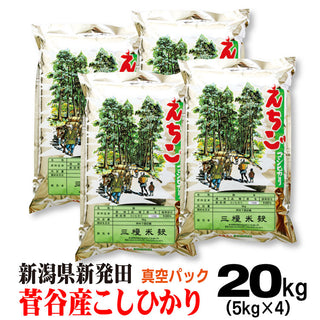 新米 令和6年産 新潟県新発田菅谷産 コシヒカリ  米 【 真空 パック 】