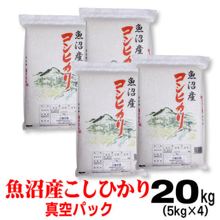 新米 令和6年産 魚沼産 コシヒカリ  米 【 真空 パック 】