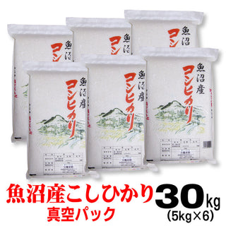 新米 令和6年産 魚沼産 コシヒカリ  米 【 真空 パック 】